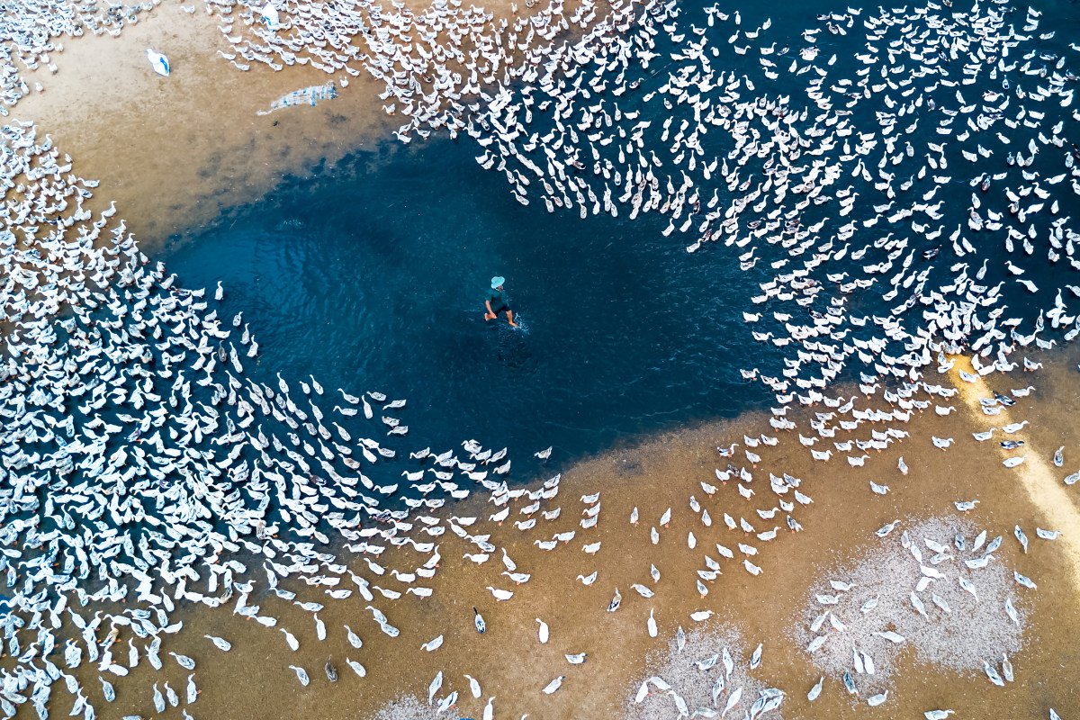 2017 SkyPixel DJI - konkurs zdjęć z drona class="wp-image-673060" 