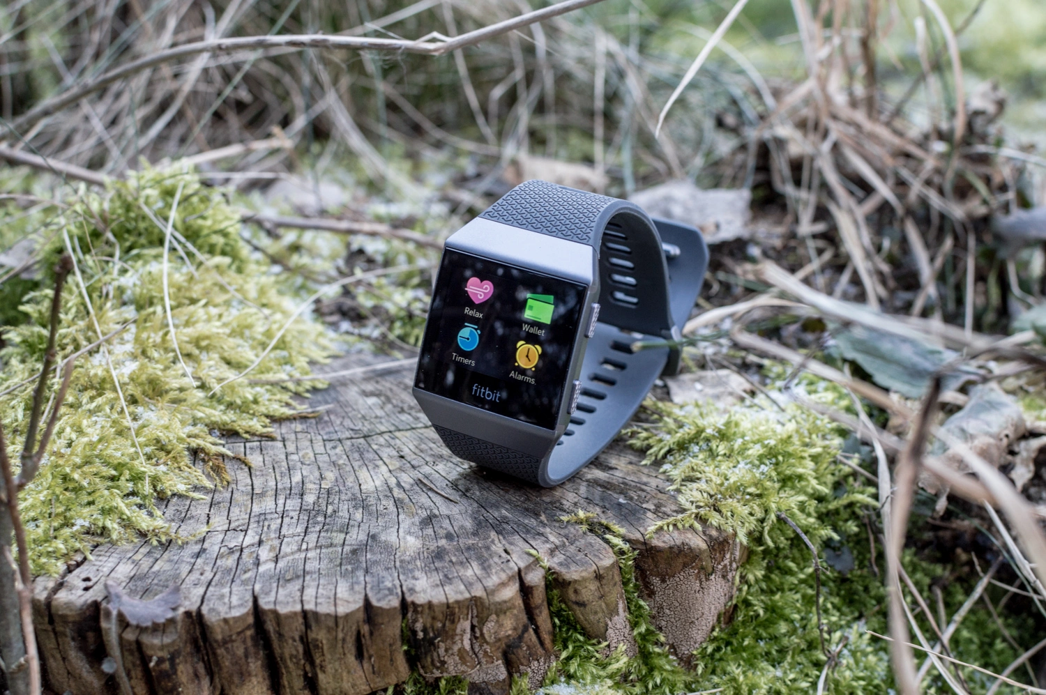 fitbit coach