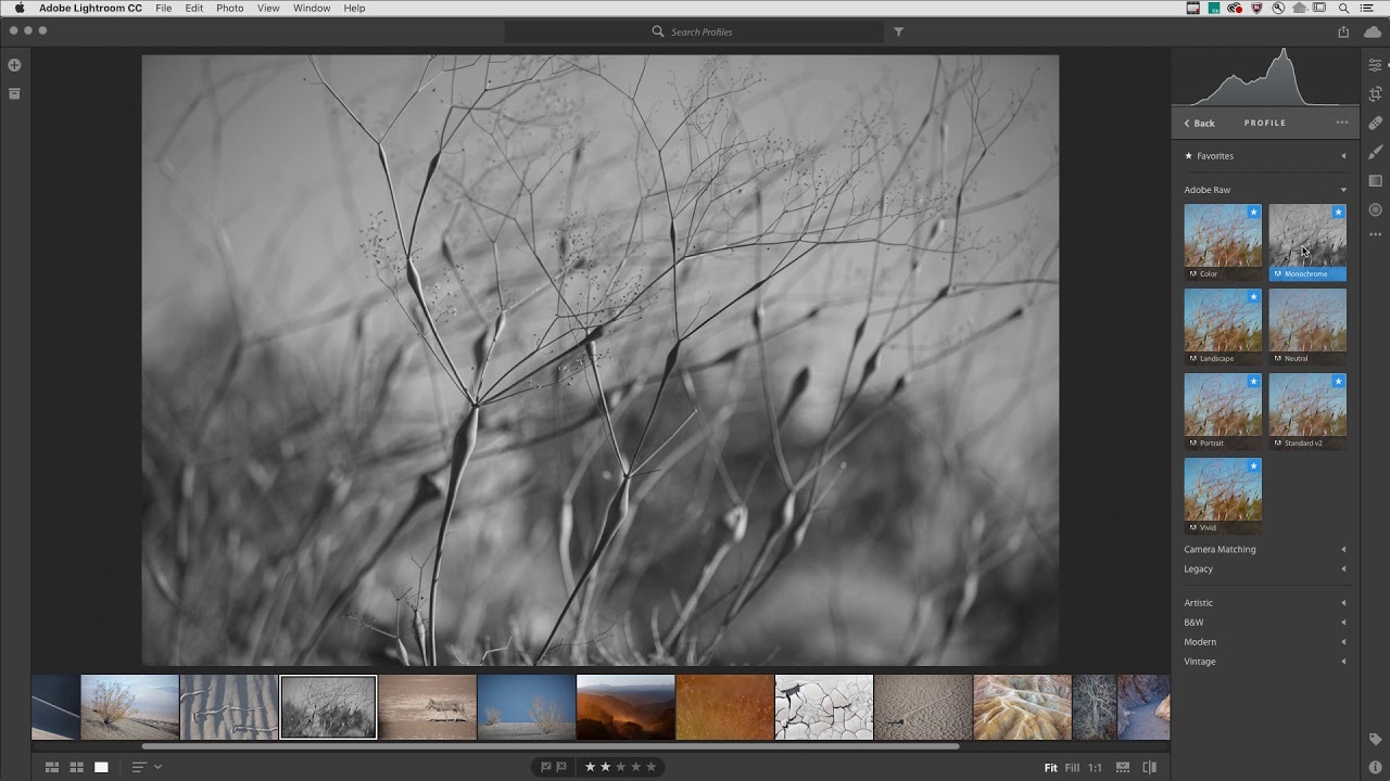lightroom aktualizacja profile adobe raw class="wp-image-710313" 