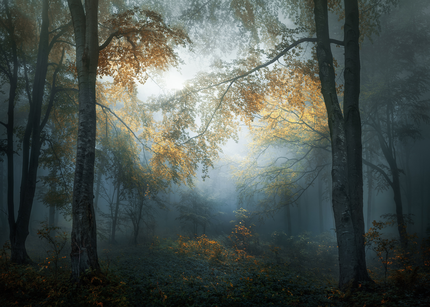  class="wp-image-720432" 