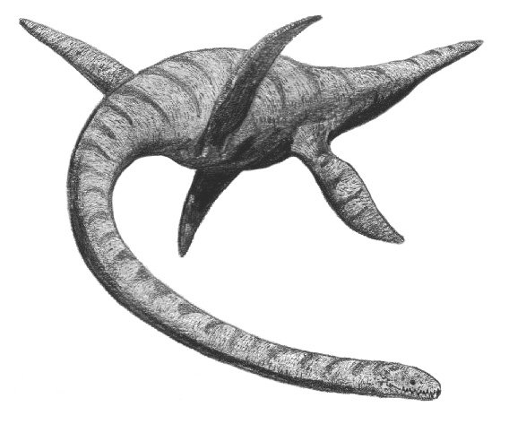 potwor-z-loch-ness class="wp-image-737908" 