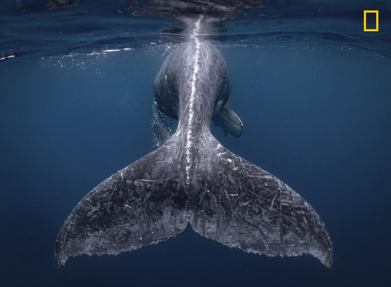 Poznaliśmy najlepsze zdjęcia podróżnicze 2018 roku National Geographic