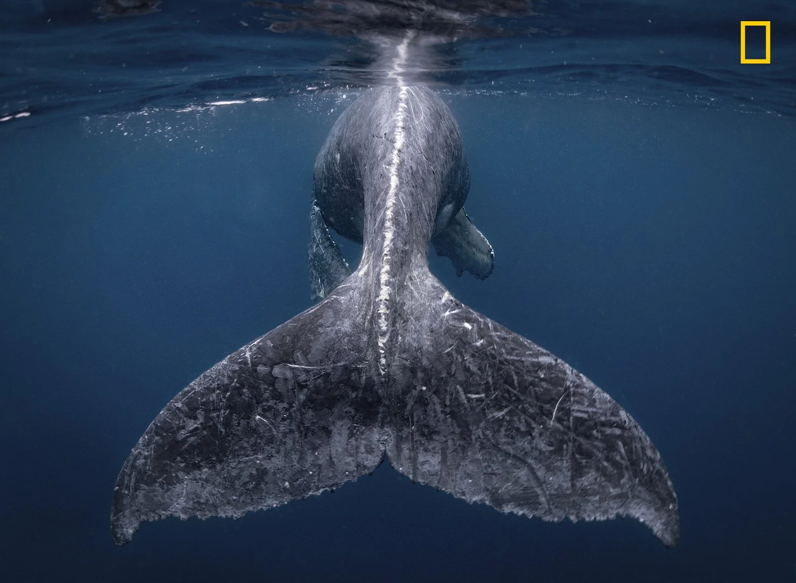 Poznaliśmy najlepsze zdjęcia podróżnicze 2018 roku National Geographic