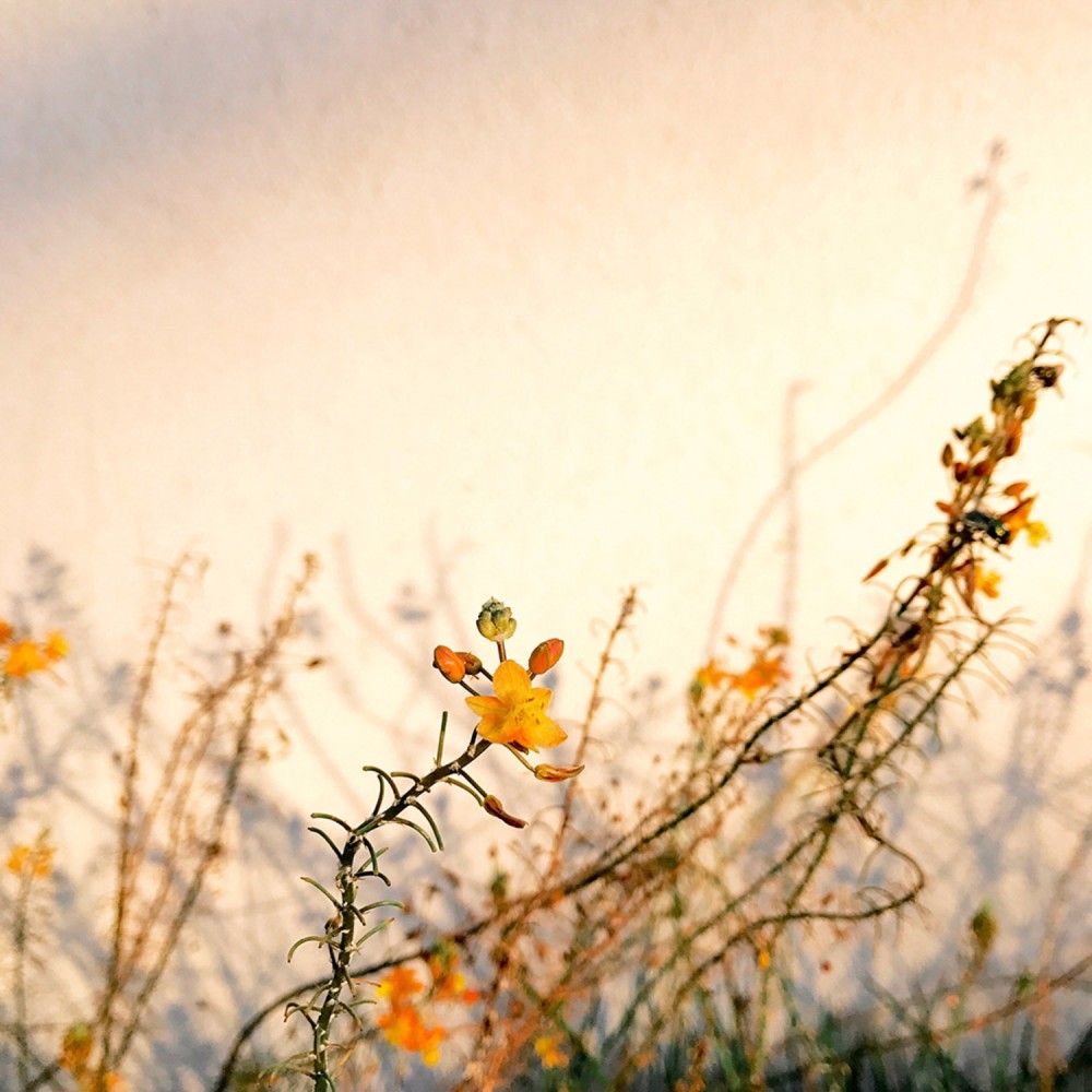 class="wp-image-773107" 