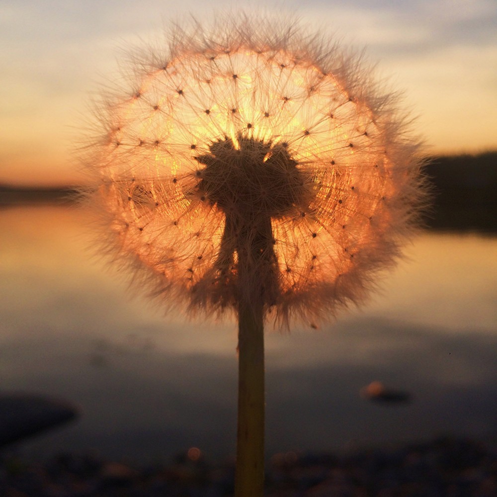  class="wp-image-773137" 