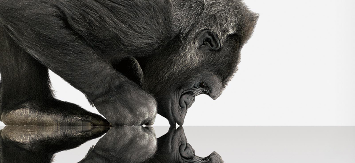 corning-gorilla-glass-6