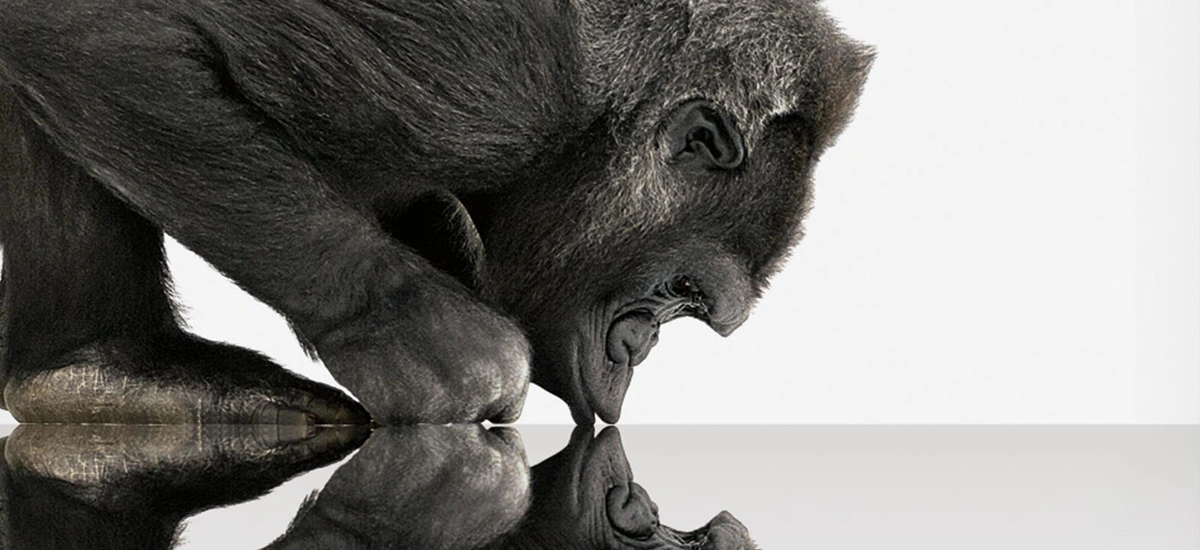 corning-gorilla-glass-6