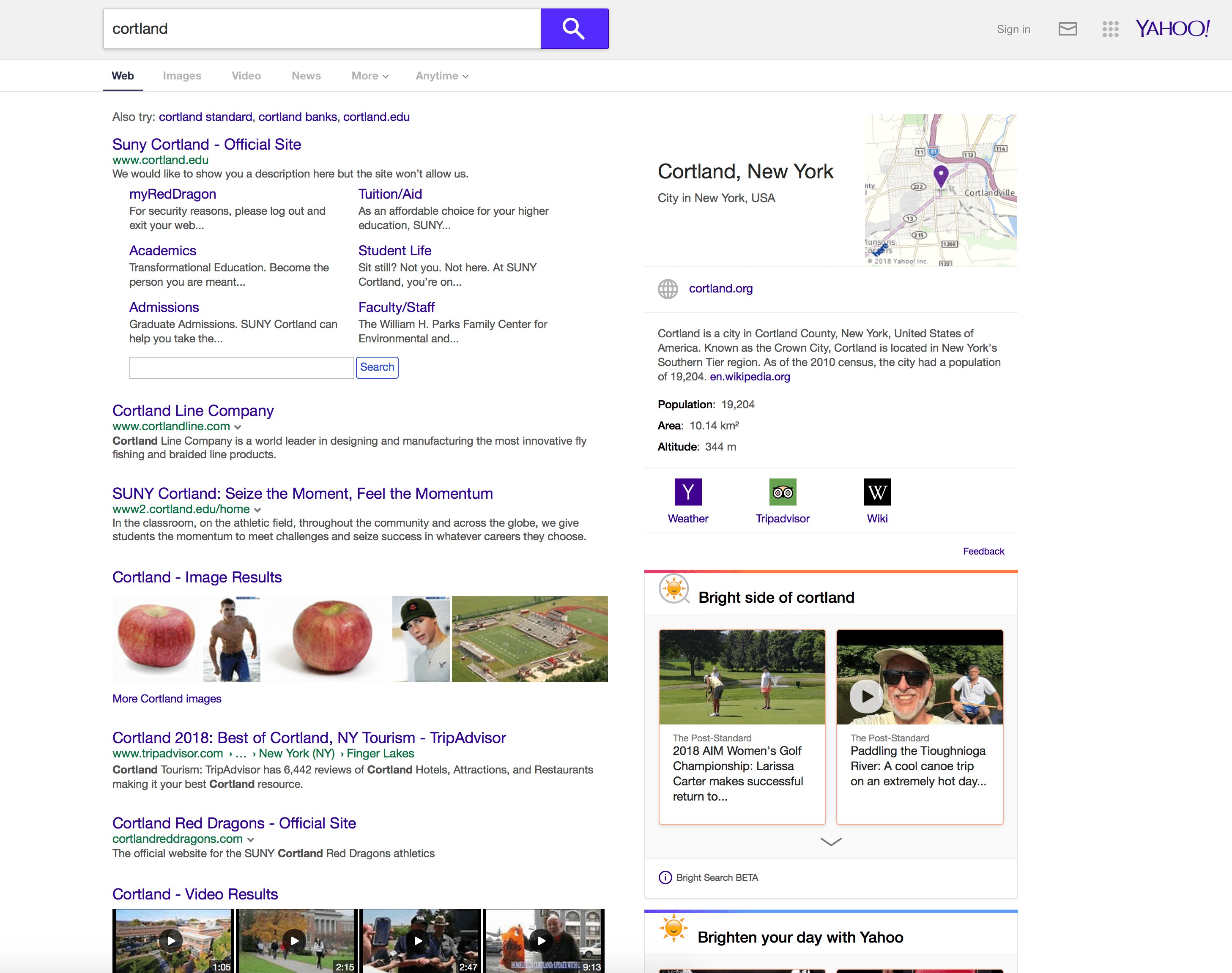 Bing czy Google - porównanie class="wp-image-775957" title="Bing czy Google - porównanie" 