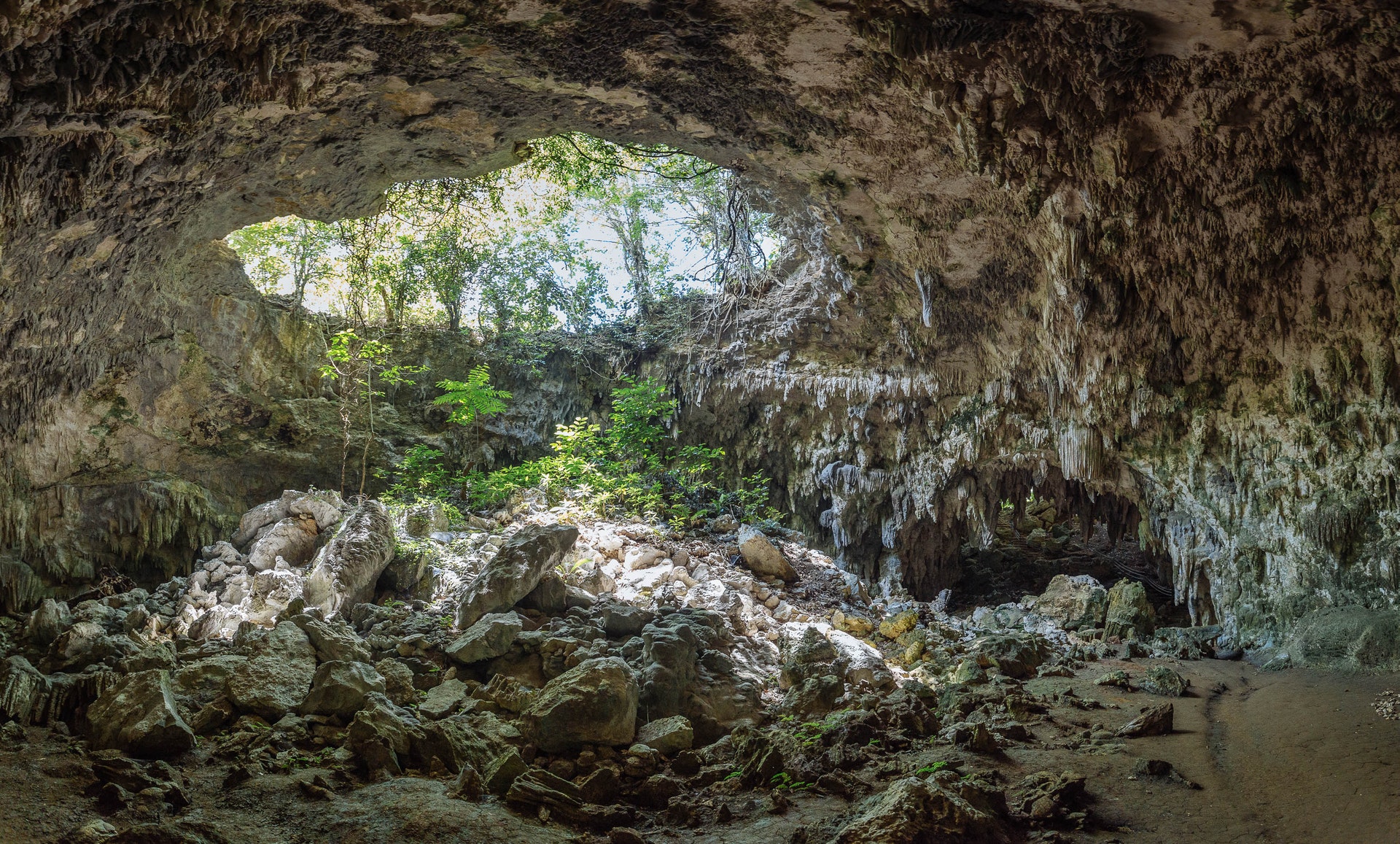 Neandertalczycy romansowali z Denisowianami. Naukowcy mają na to dowody