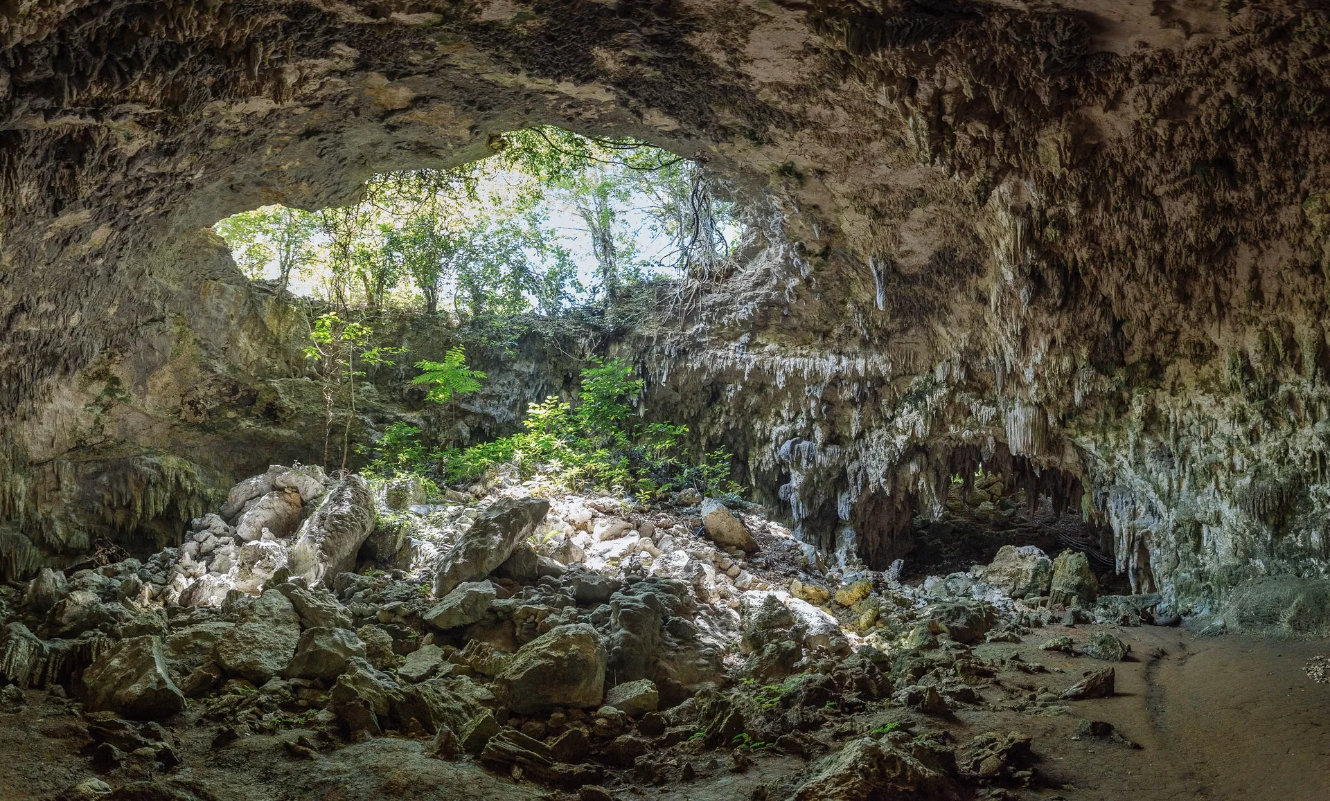 Neandertalczycy romansowali z Denisowianami. Naukowcy mają na to dowody