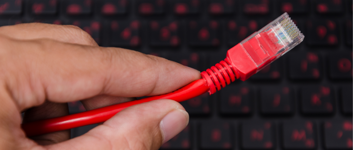 Internet nie będzie już taki sam. ACTA 2 przegłosowana. Co to znacza?