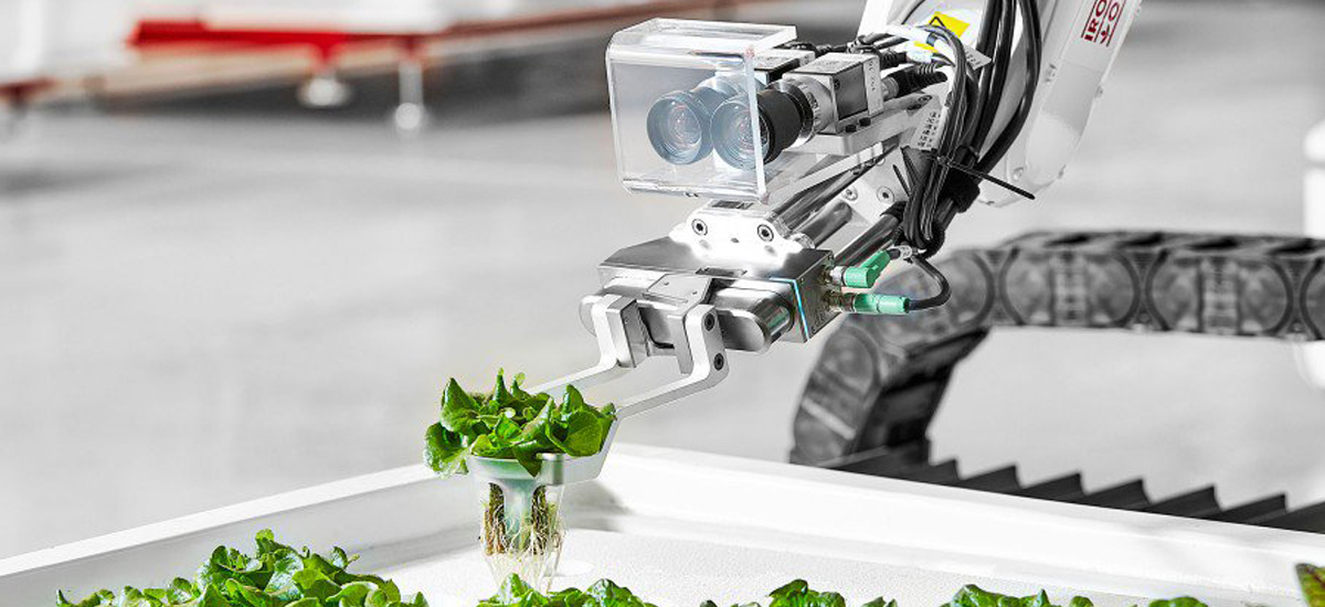 autonomiczne farmy wertykalne miejskie