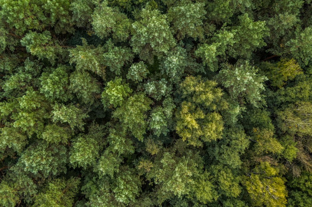 dji mavic 2 pro - recenzja, test, opinia class="wp-image-816035" 