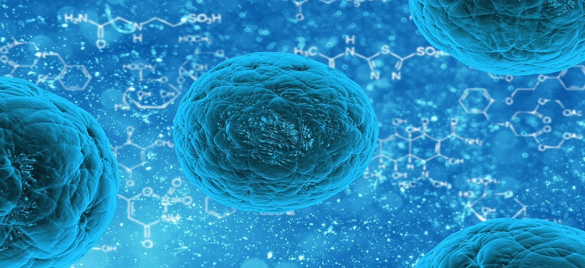 immunoterapia w leczeniu raka