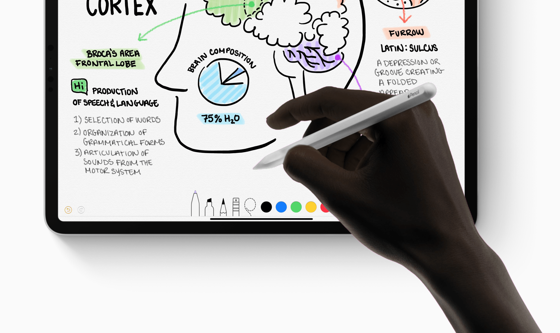 Adobe Illustrator zbierza na iPada. To kolejny duży program po Photoshopie CC