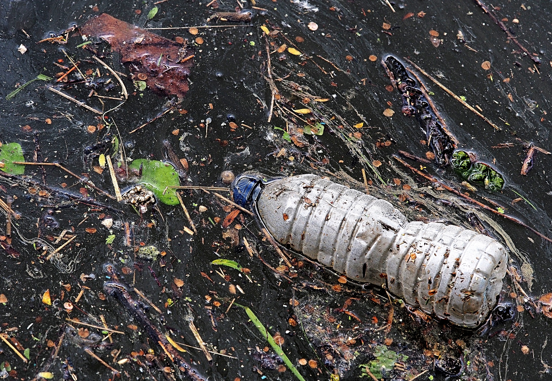 mikroplastik w soli