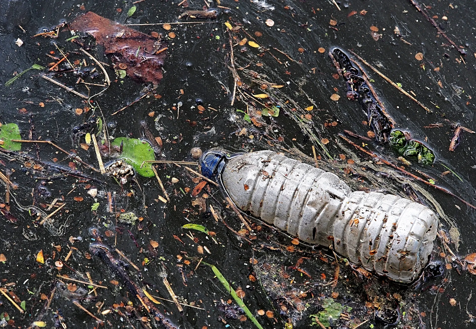 mikroplastik w soli