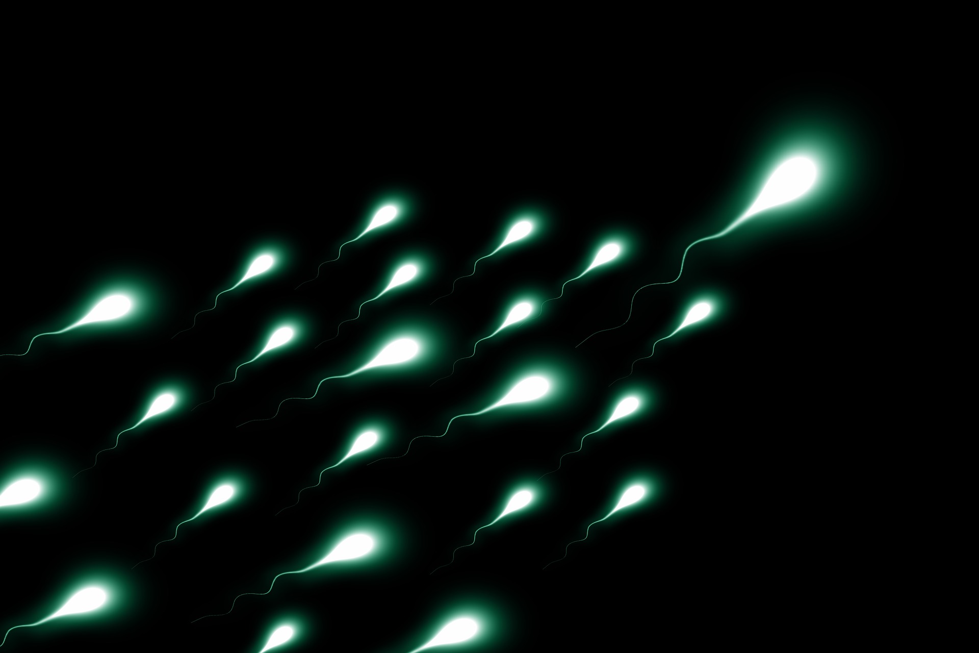 nanoroboty