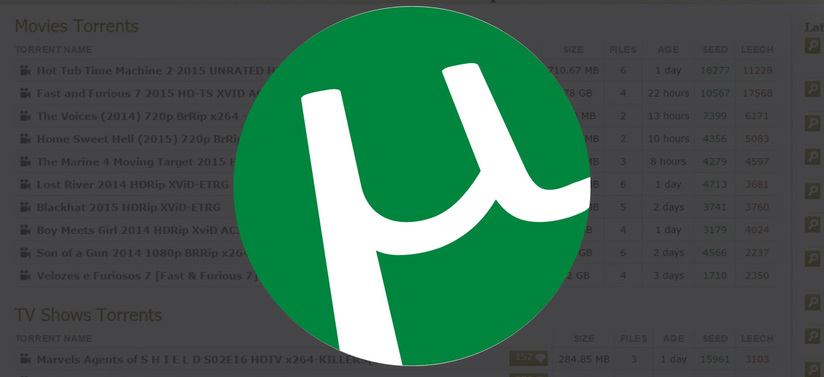 utorrent piractwo torrenty