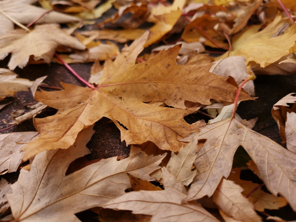  class="wp-image-834962" 