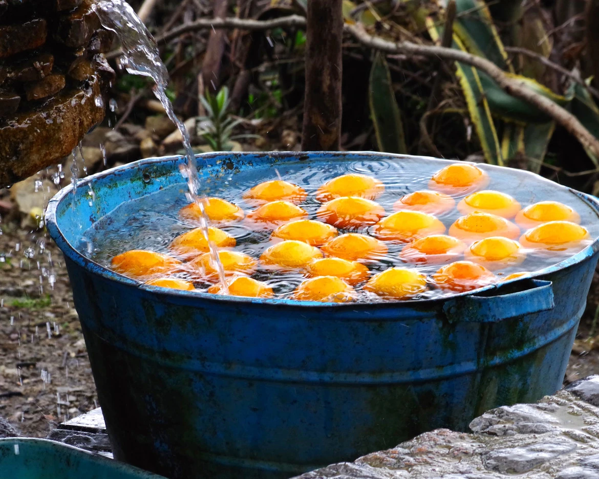 Fot. Isabella Smith / Young Travel Photographer of the Year - Winner class="wp-image-856916" 