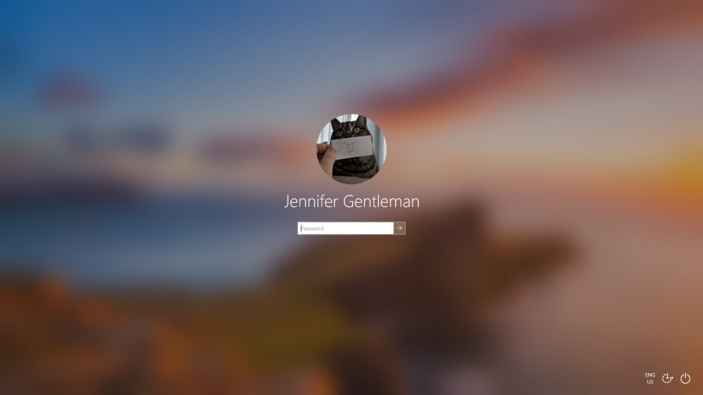 windows 10 19h1 