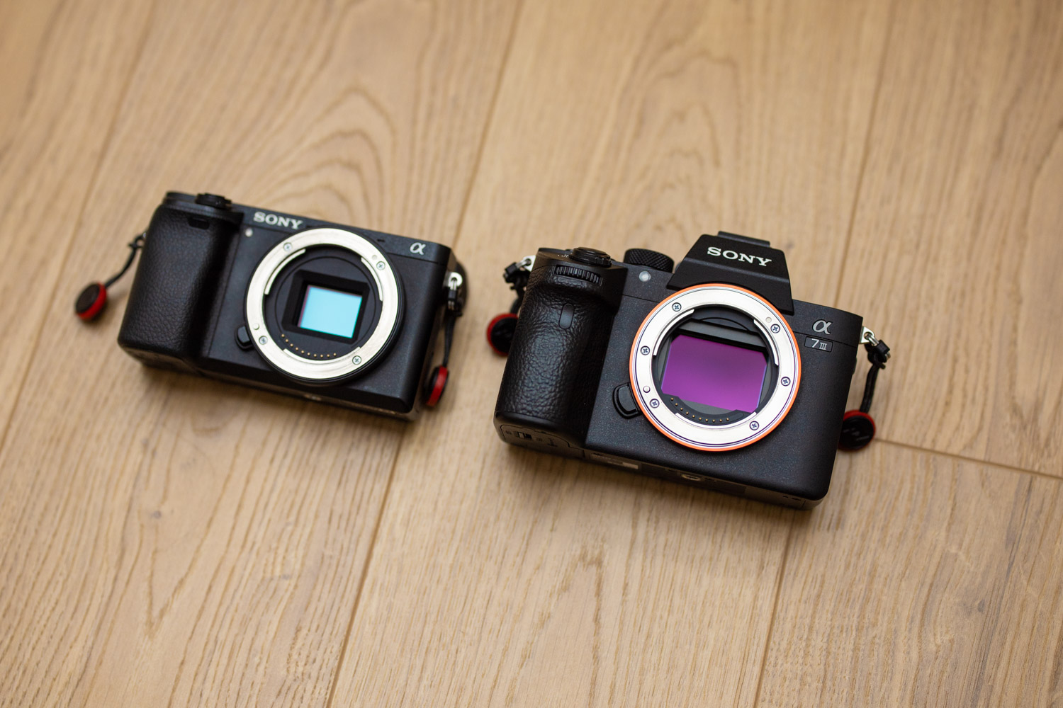 sony a7 iii czy warto