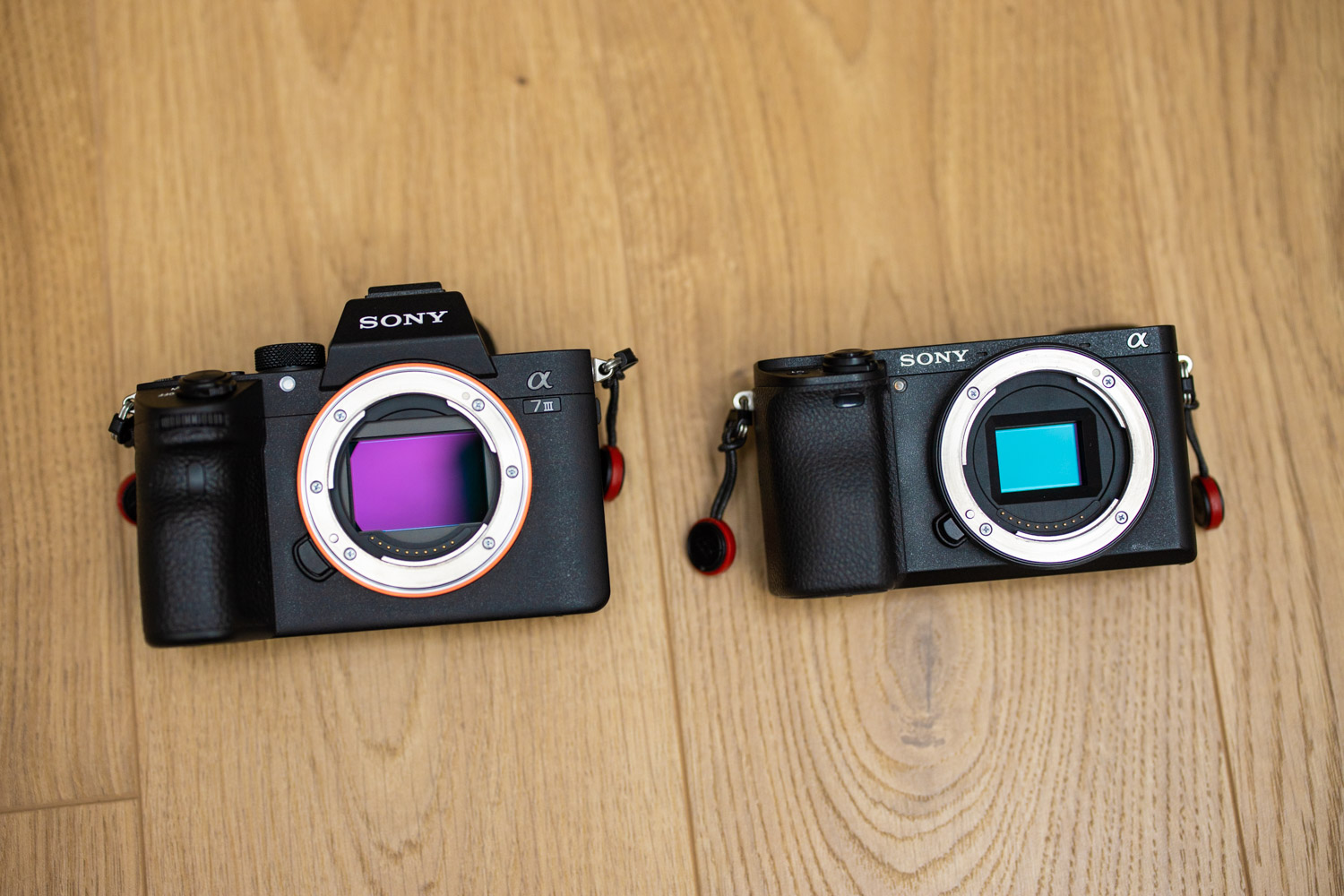 Sony A7 III vs Sony A6300 class="wp-image-867172"
