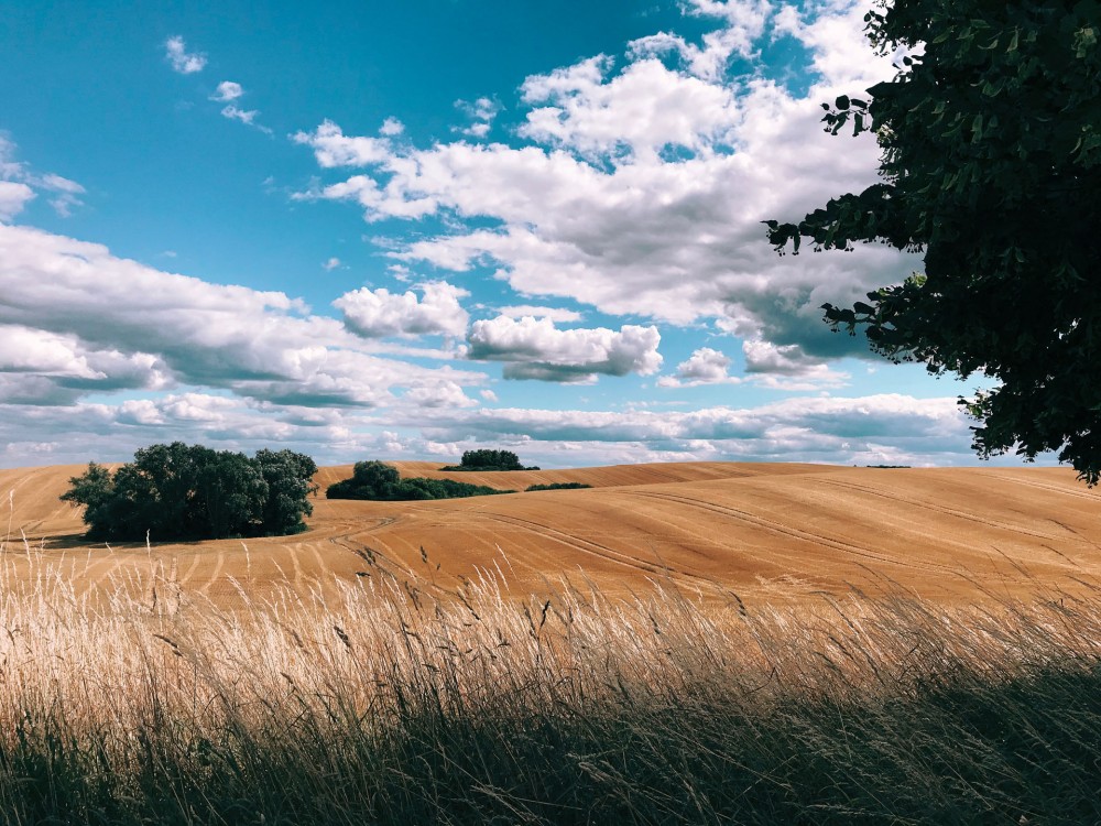 Shot on iPhone 