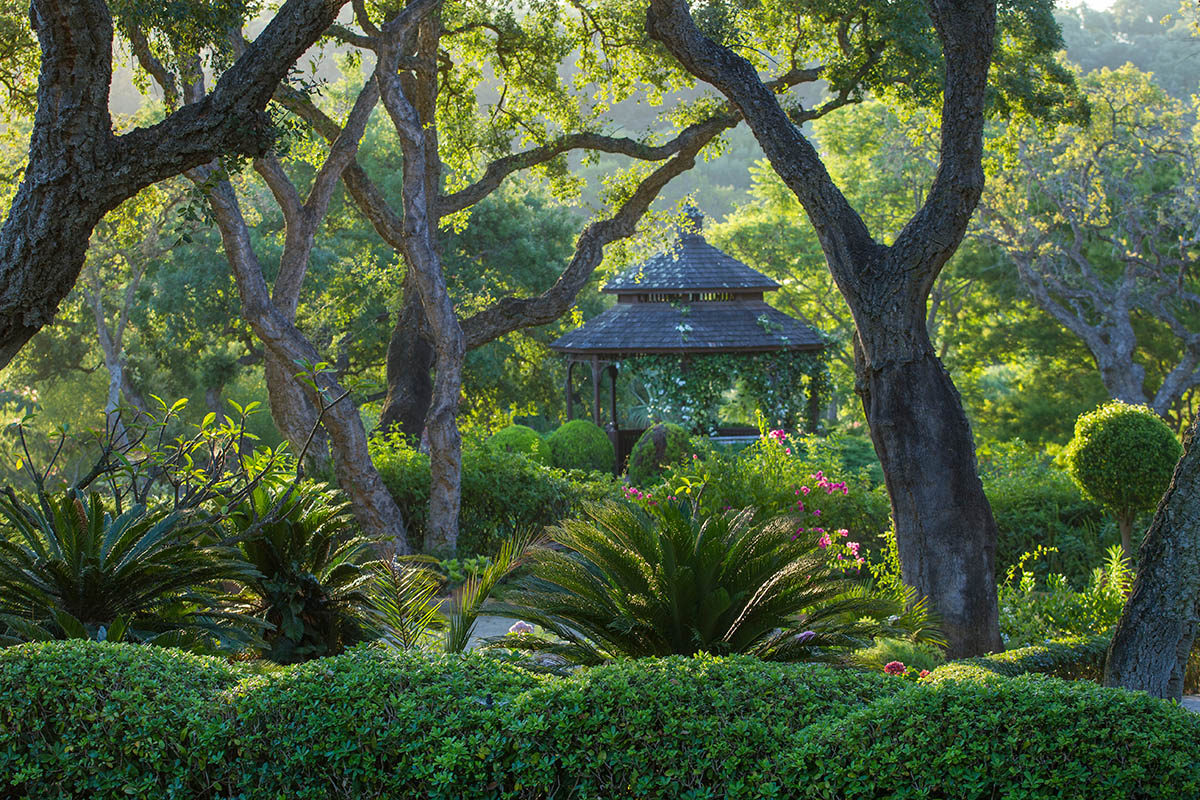 Andaluzja, Hiszpania, fot. Gazebo Cádiz | 1. miejsce w kat. &quot;European Garden Photography Award&quot;, IGPOTY. class="wp-image-888955" 