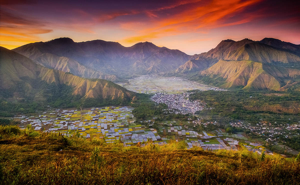 &quot;Kolorowe pola&quot;, fot. Suwandi Chandra | 1. miejsce w kat. &quot;The Bountiful Earth&quot;, IGPOTY. class="wp-image-888958" 