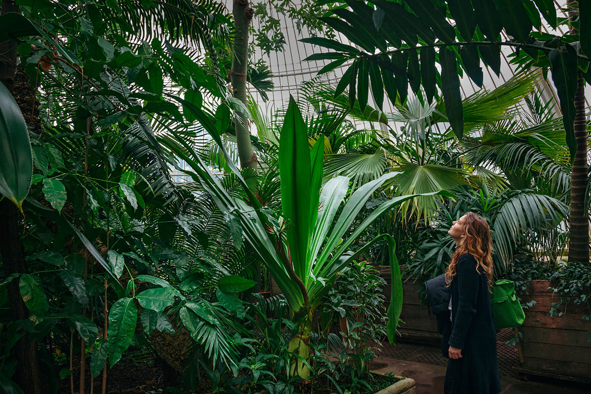 &quot;Lost in the Lush Beauty&quot;, fot. Vincenzo Di Nuzz | 1. miejsce w kat. &quot;Captured at Kew&quot;, IGPOTY. class="wp-image-888961" 