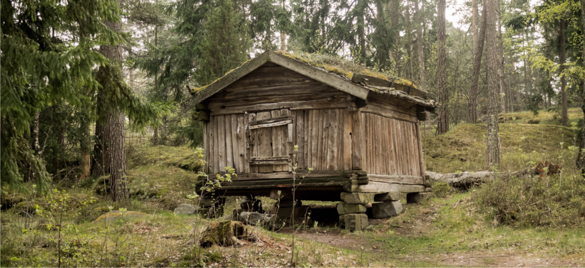 program priorytetowy czyste powietrze