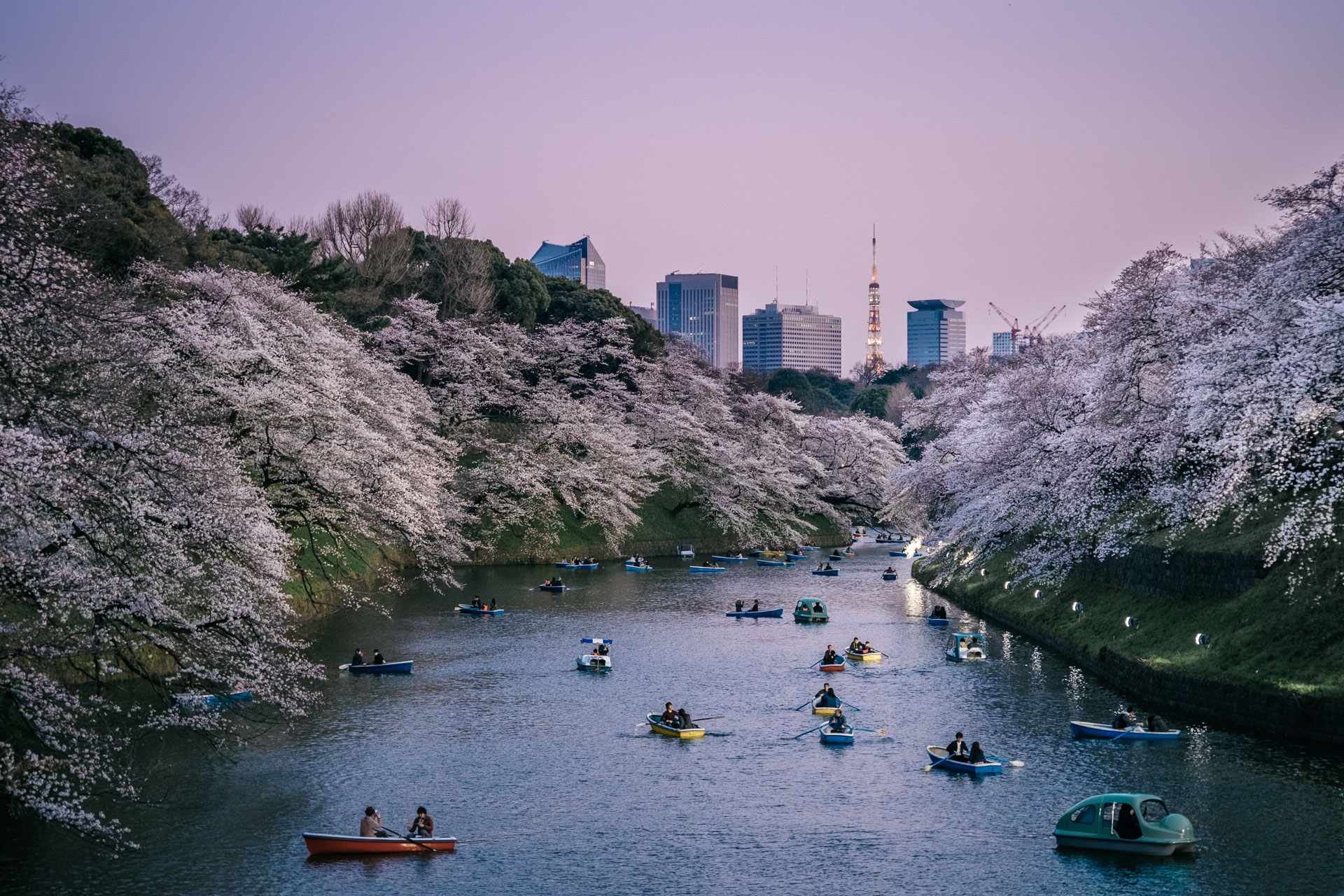 Sony World Photography Awards 2019 class="wp-image-881398" 