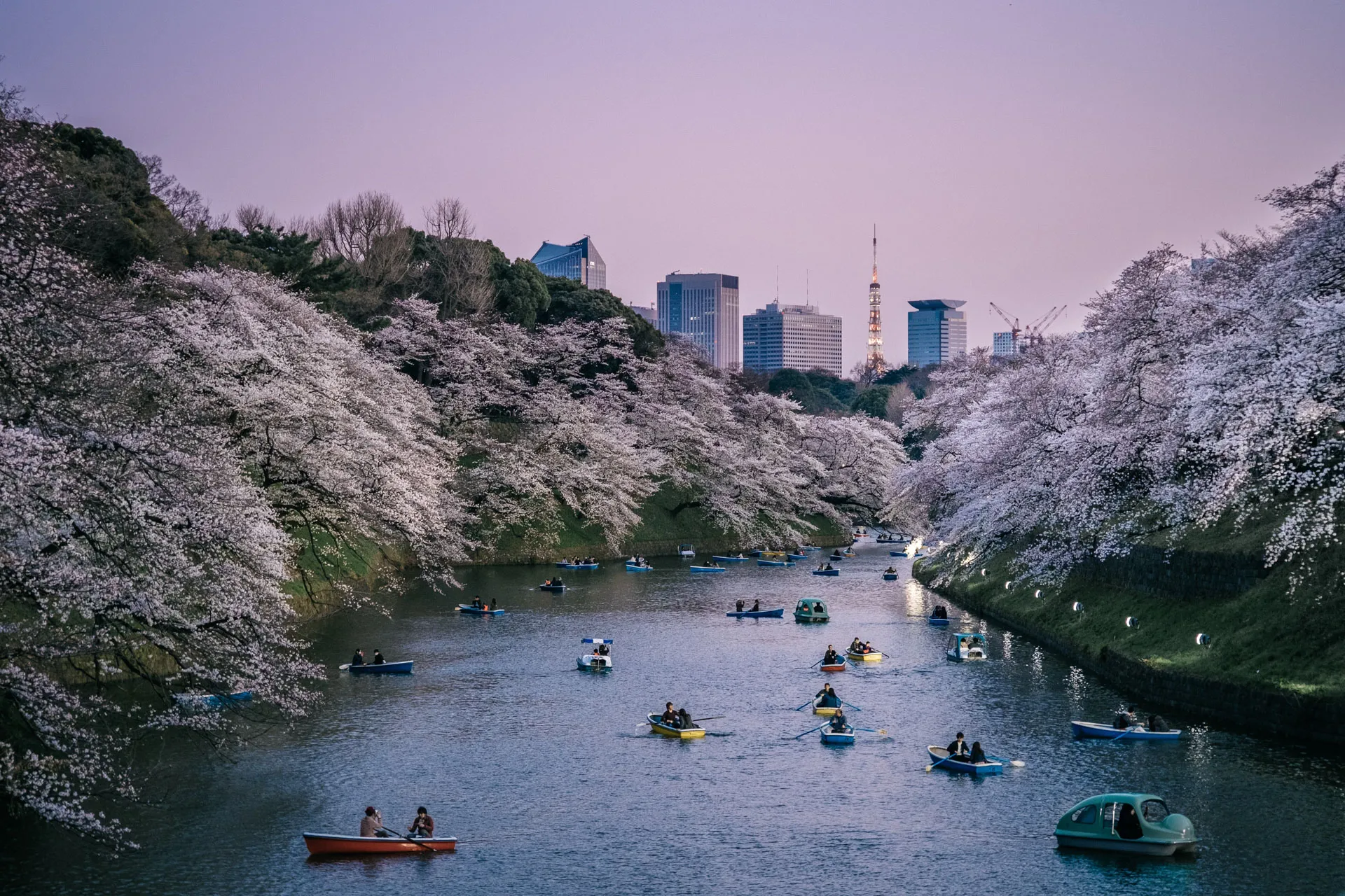 Sony World Photography Awards 2019 class="wp-image-881398"