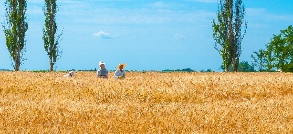 Ukraina za 50 lat będzie w tym miejscu, w którym jest dzisiaj Polska. Dla Polski oznacza to kłopoty