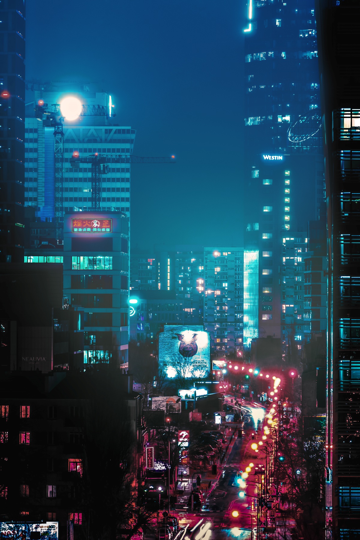  class="wp-image-930431" 