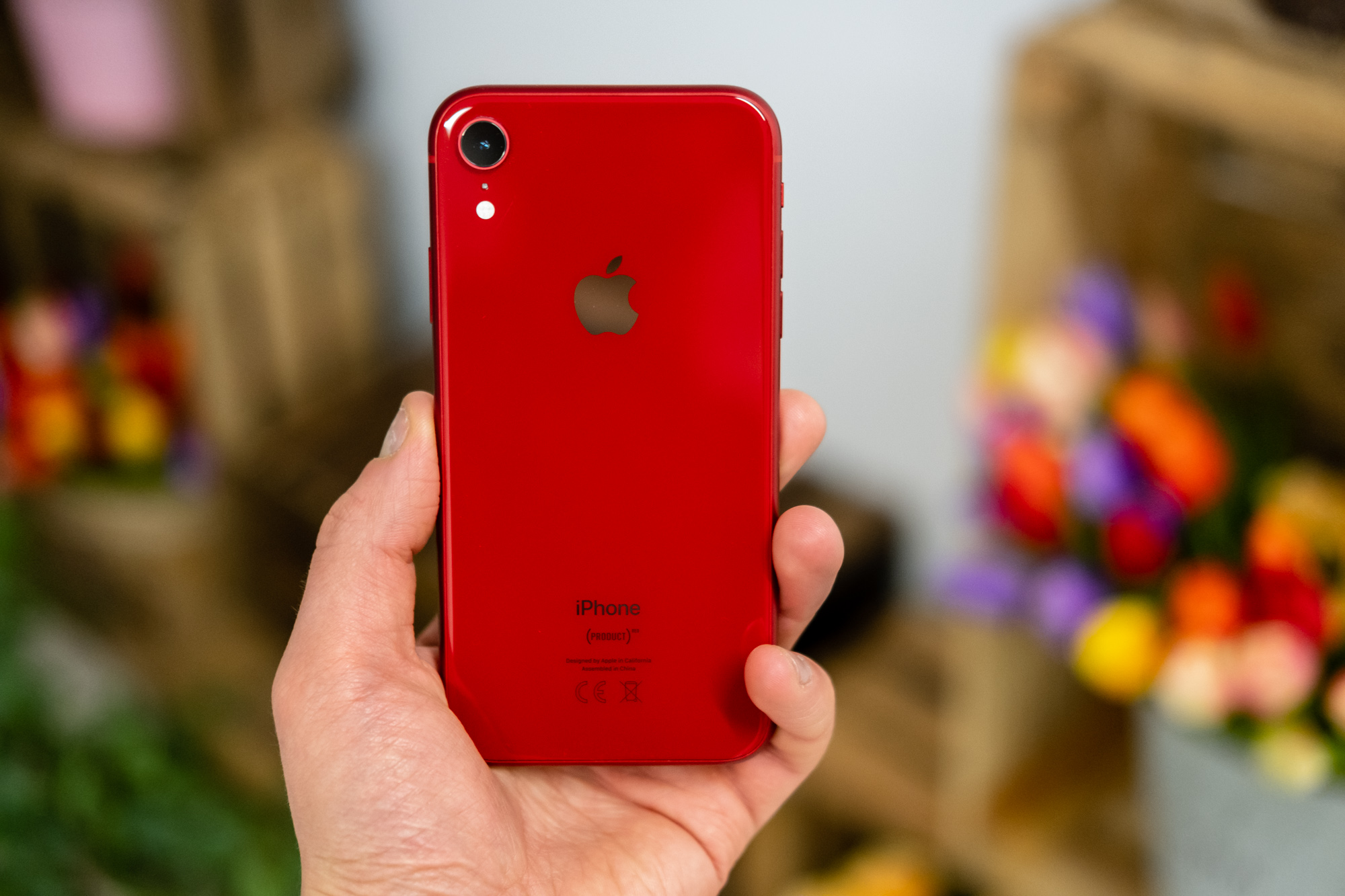 iPhone XR opinie