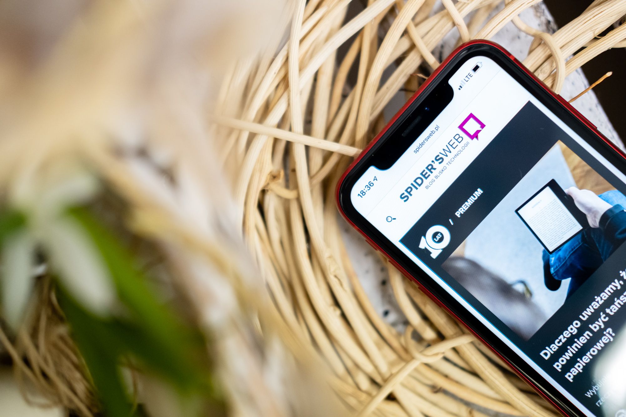 iPhone XR opinie class="wp-image-905646" 