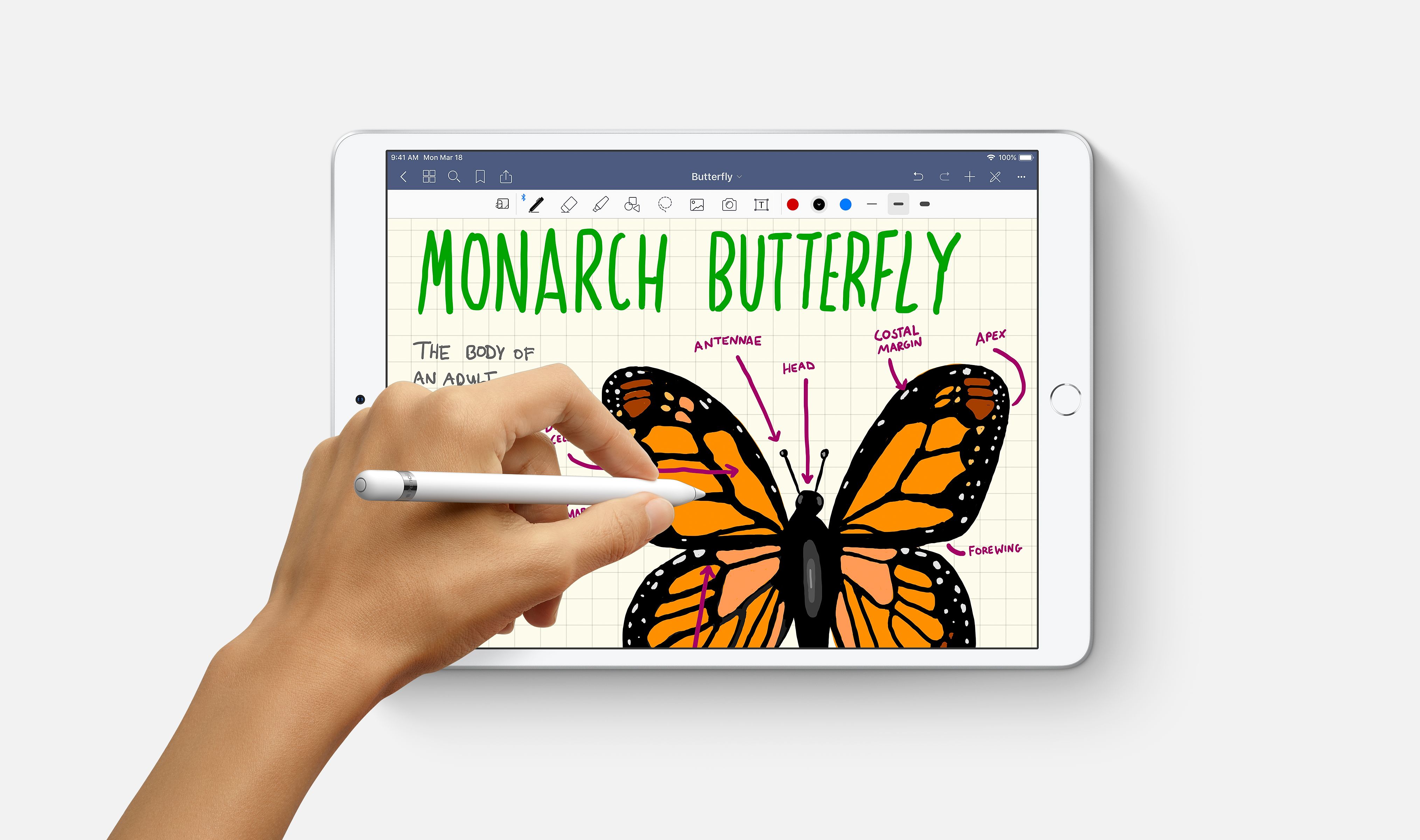 iPad Air 2019 class="wp-image-906063"