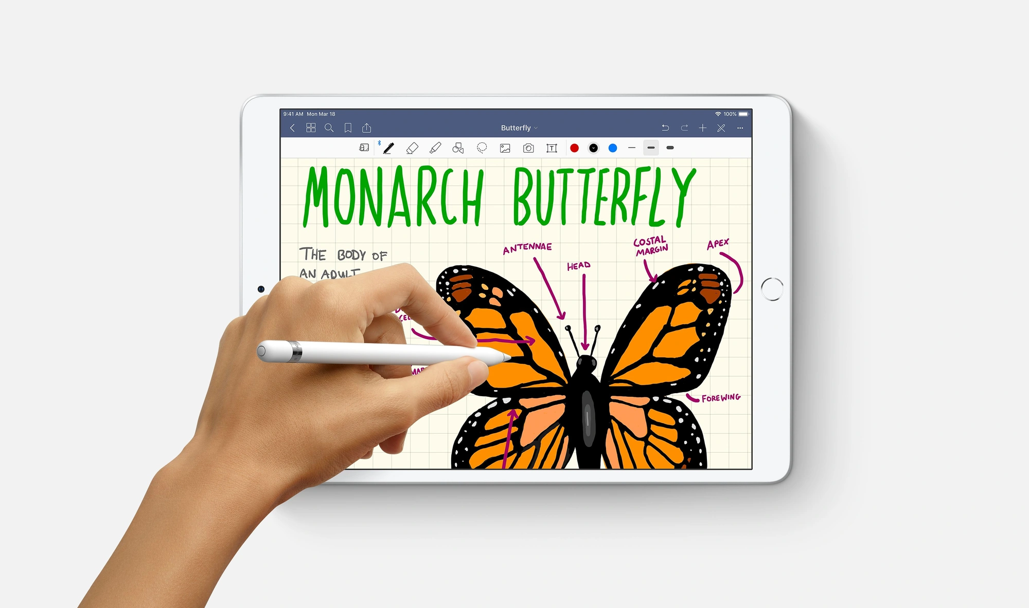 iPad Air 2019 class="wp-image-906063"