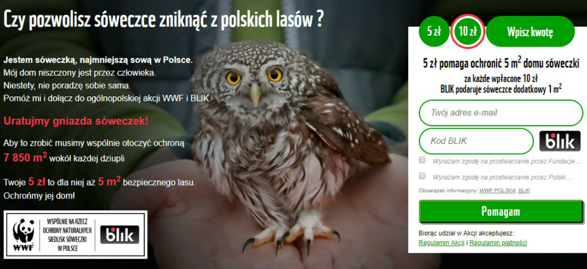 Zapłać, klikając w baner reklamowy. Blik znalazł sposób na błyskawiczne zakupy