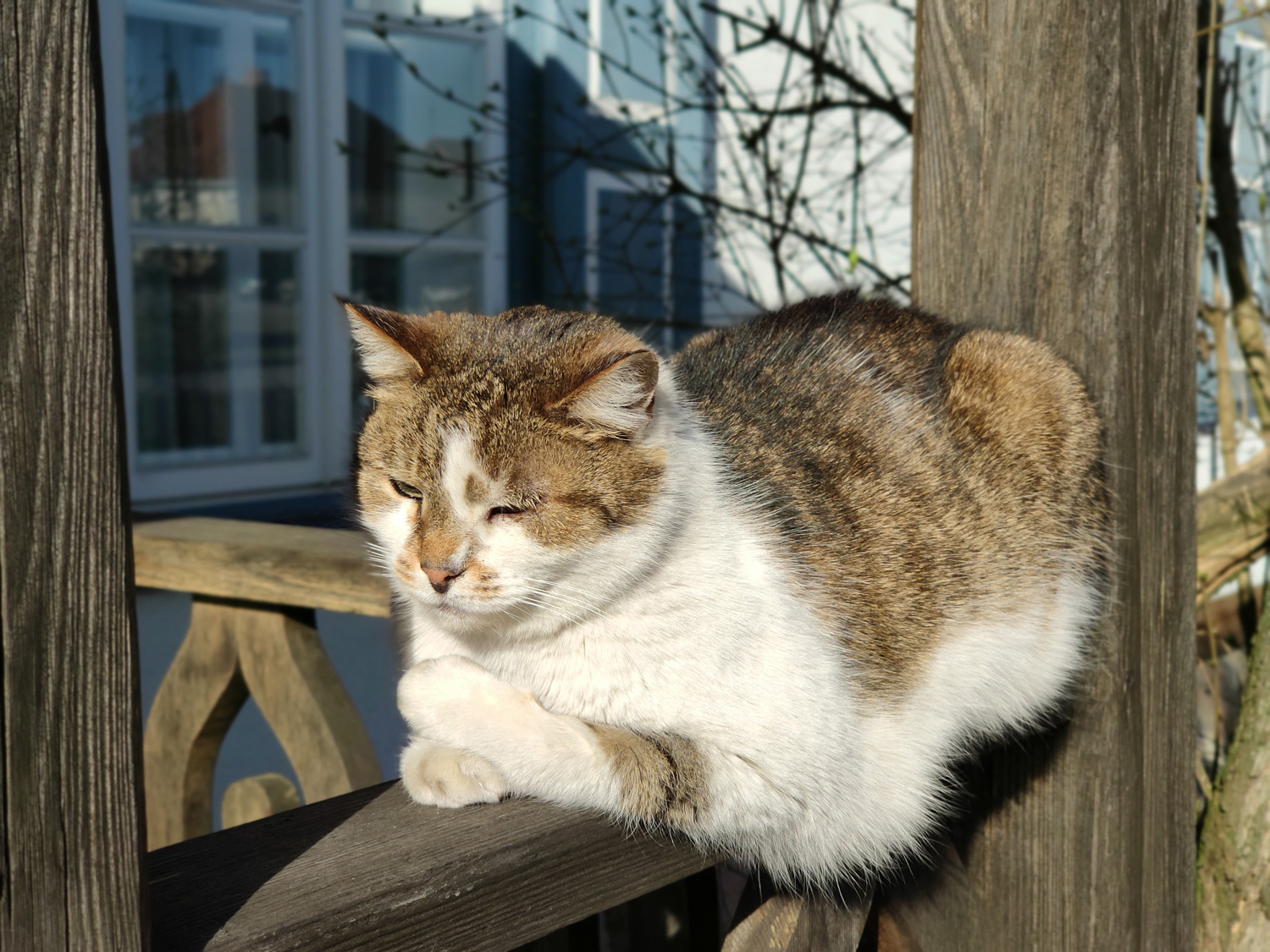  class="wp-image-913977" 