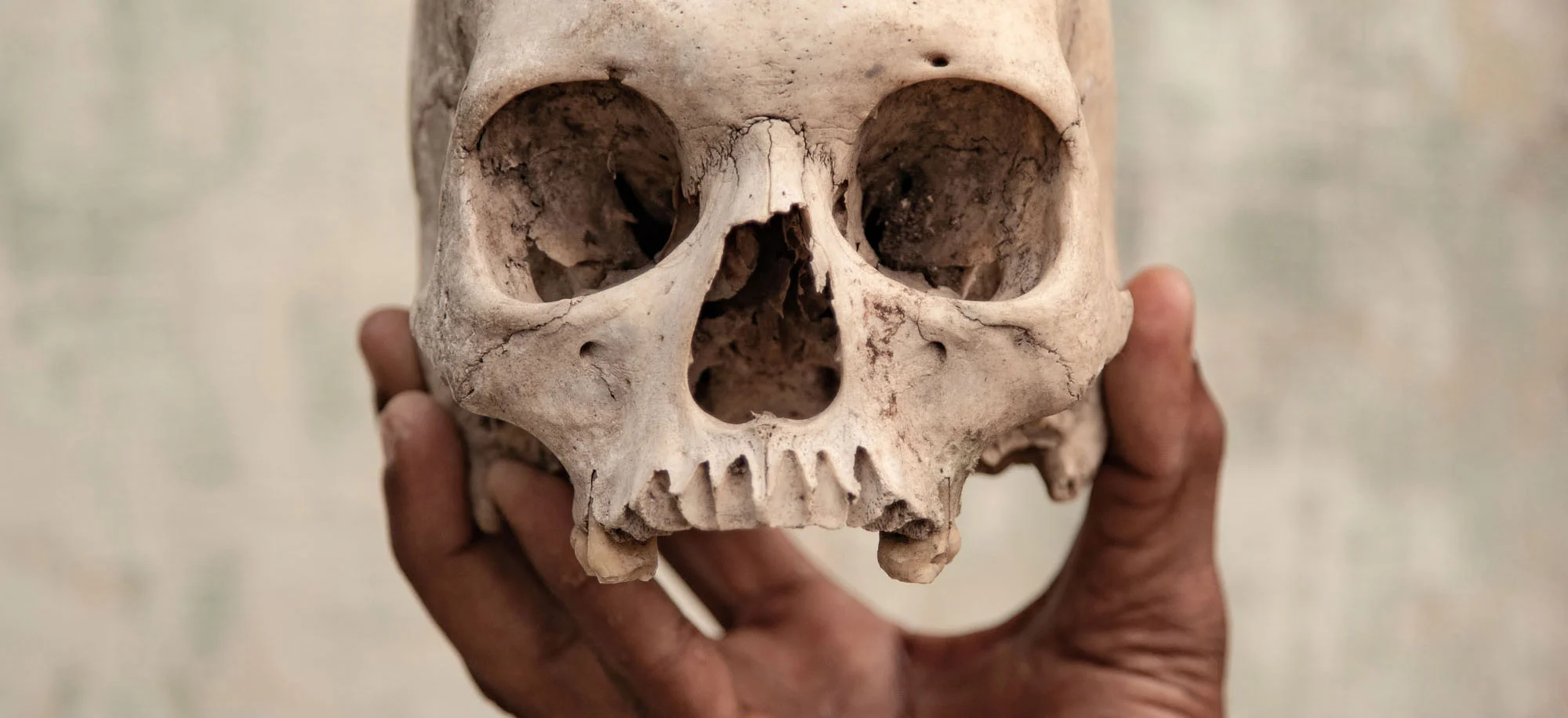 Fot. Frederico Borella / Fotograf Roku / SWPA 2019