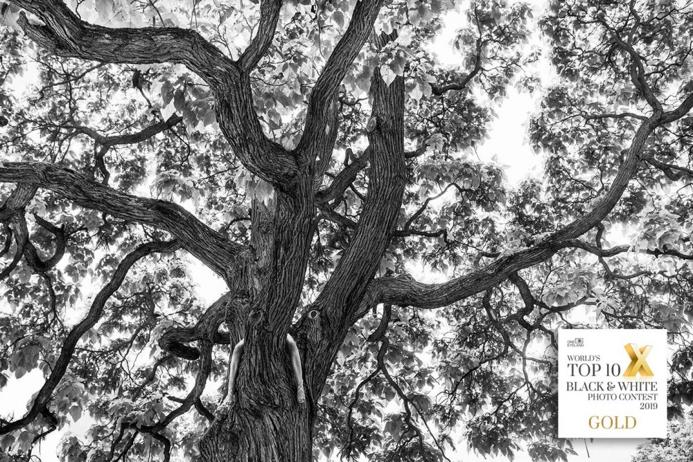 Fot. Szymon Brodziak / 1. miejsce w One Eyland Black &amp; White Photographers class="wp-image-924416" 