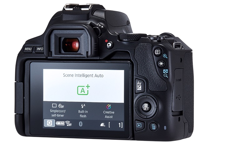 canon eos 250d class="wp-image-919815" 