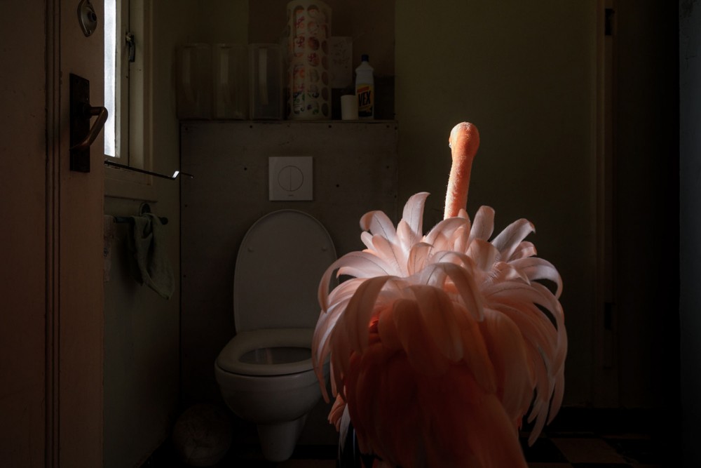 Fot. Jasper Doest, Professional, Natural World &amp; Wildlife (Professional), 1st Place, 2019, Sony World Photography Awards class="wp-image-924263" 