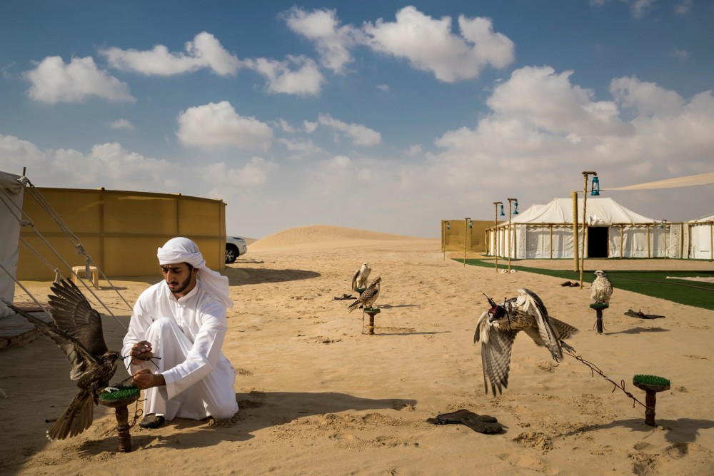 Fot. Brent Stirton/Getty Images / National Geographic. I miejsce w kat. Natura, historia. Obóz polowania na sokoły na pustyni nieopodal Abu Dhabi.  