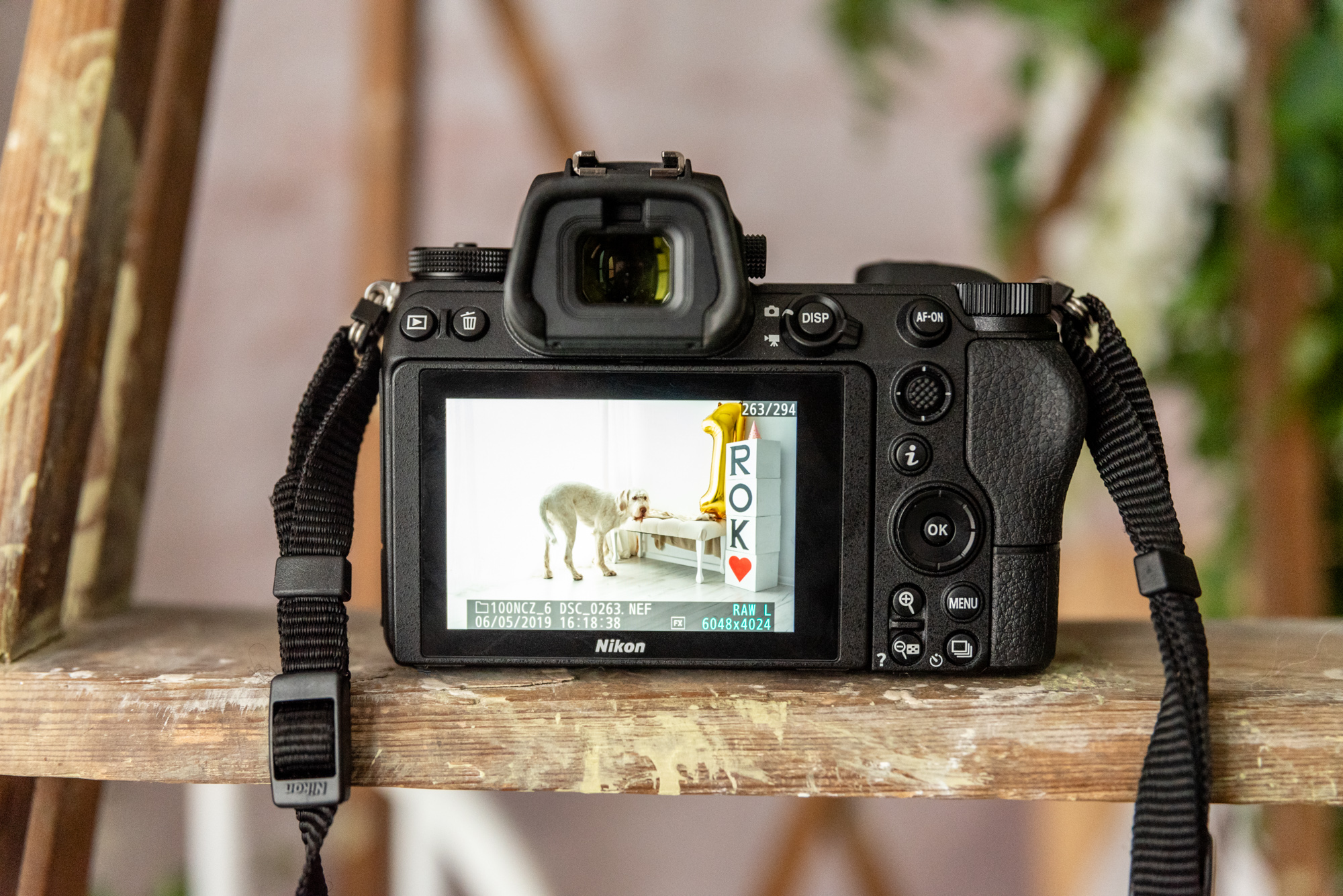 Nikon Z6 opinie 