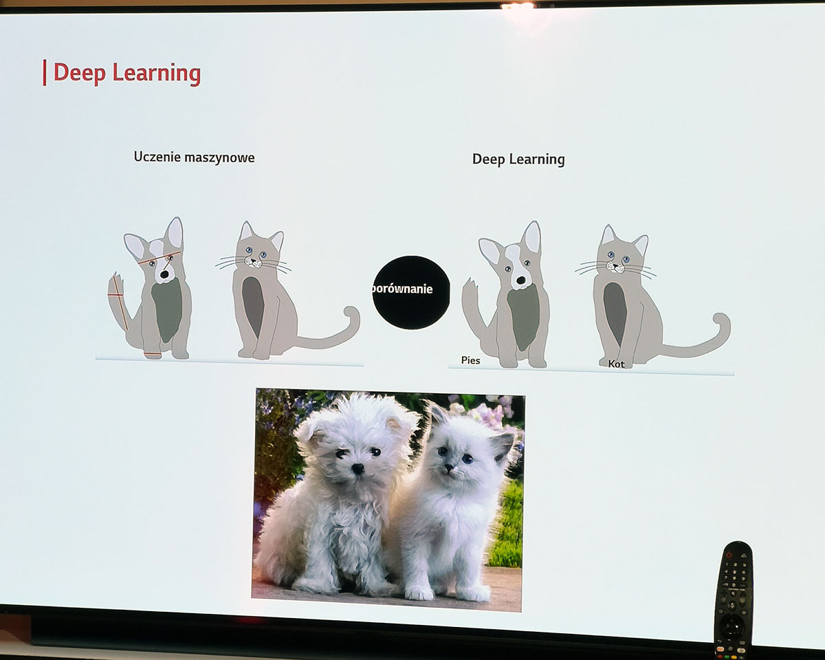 LG OLED TV 2019 class="wp-image-934517" 